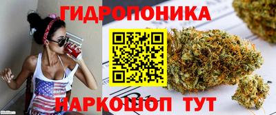 дмт Бузулук